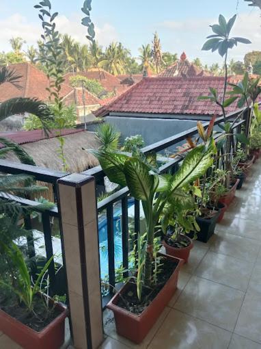 Grace Paradise Guest House Lembongan Dış mekan fotoğraf